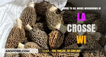 Top Spots to Sell Morel Mushrooms in La Crosse, WI