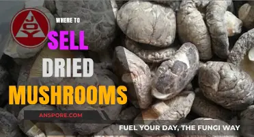 Best Places to Sell Your Dried Mushrooms