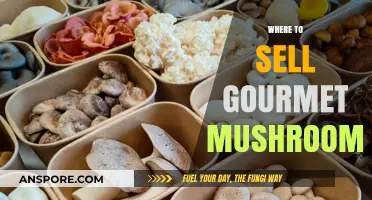 Gourmet Mushrooms: Where to Sell and How to Profit