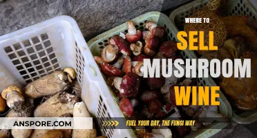 Mushroom Wine: Where to Sell This Unique Beverage?