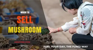 Best Places to Sell Your Mushrooms