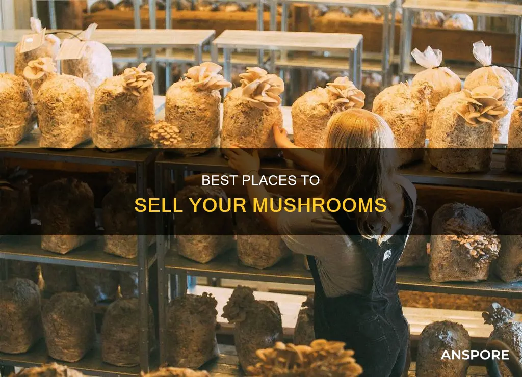 where to sell mushroom