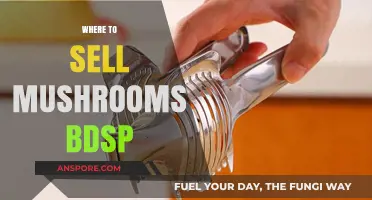 Best Places to Sell Your BDSP Mushrooms