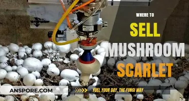 Best Places to Sell Your Scarlet Mushrooms