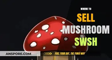 Best Places to Sell Your Mushrooms in Sword and Shield
