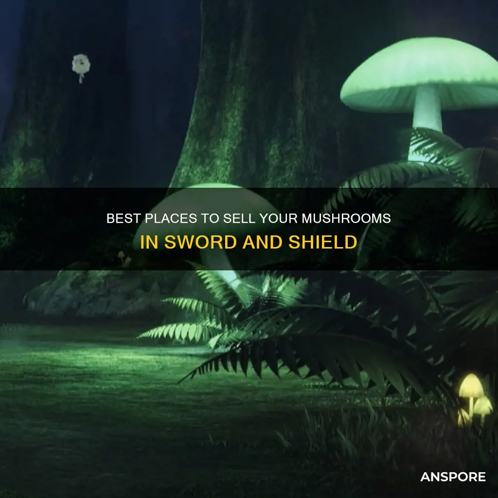 where to sell mushrooms swsh