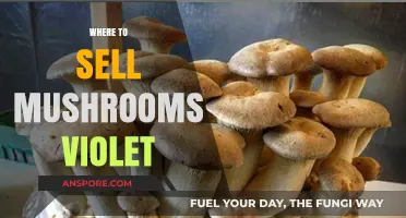 Best Places to Sell Violet Mushrooms
