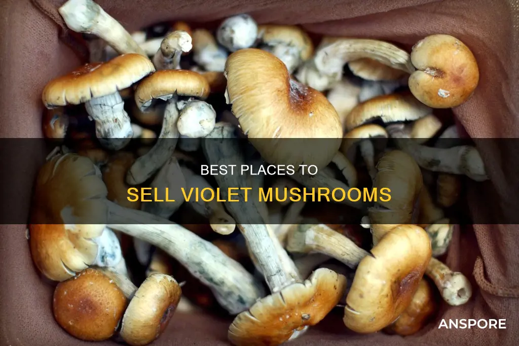 where to sell mushrooms violet