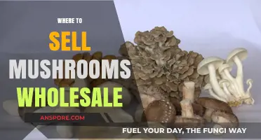 Wholesale Mushroom Sales: Where to Sell Your Crop
