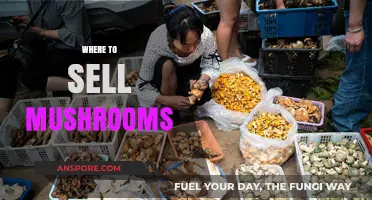 Best Places to Sell Your Mushrooms