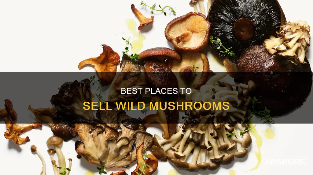 where to sell wild mushrooms