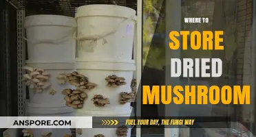 The Best Places to Store Dried Mushrooms