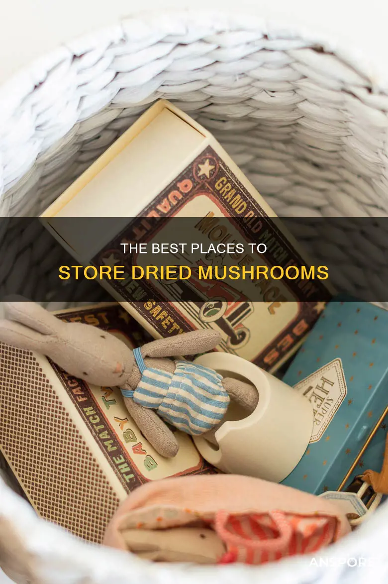 where to store dried mushrooms