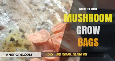 Best Storage Solutions for Mushroom Grow Bags: Tips and Locations