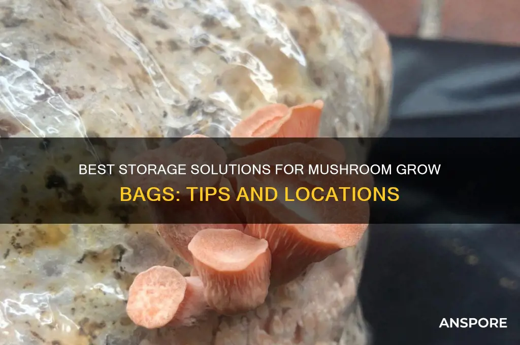 where to store mushroom grow bags