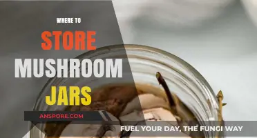 The Best Places to Store Mushroom Jars