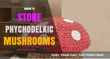 The Best Storage Places for Psychedelic Mushrooms