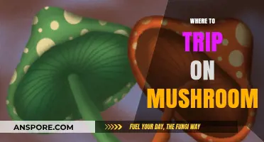 Best Places to Trip on Mushrooms