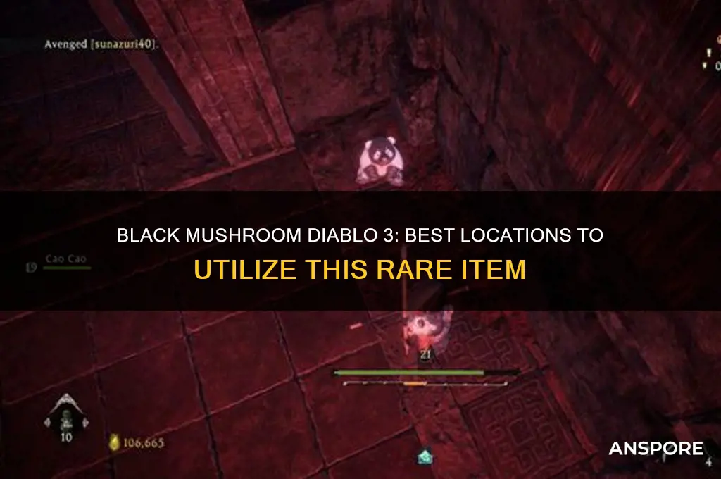 where to use black mushroom diablo 3