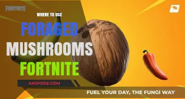 Foraged Mushrooms in Fortnite: Best Locations to Boost Your Survival