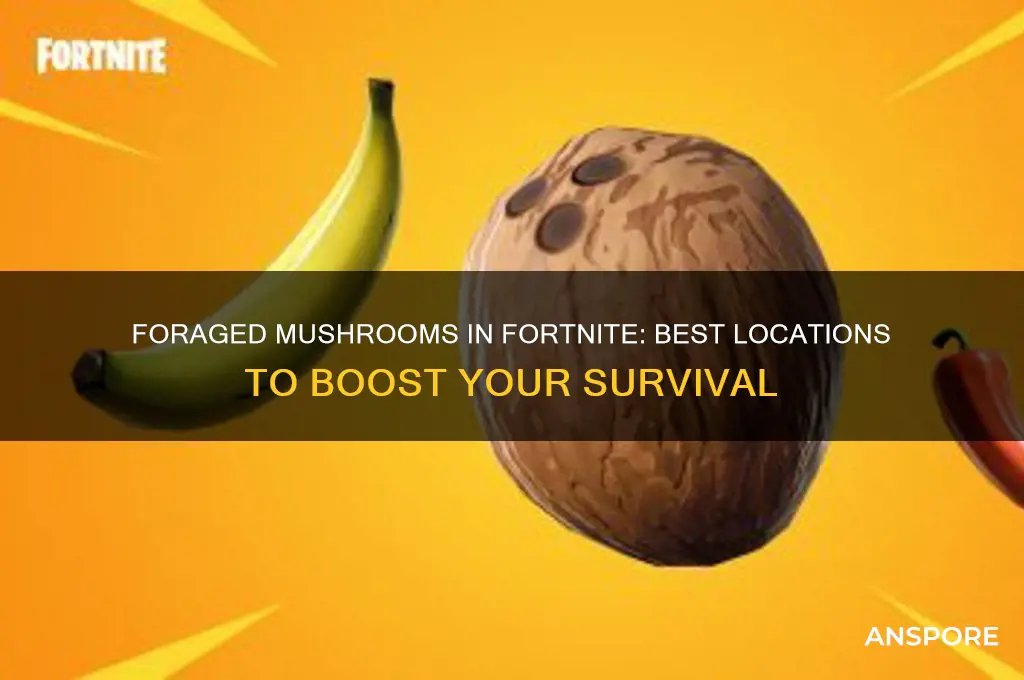 where to use foraged mushrooms fortnite