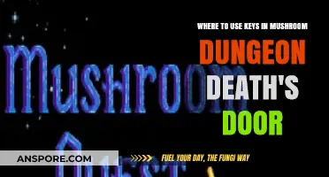 Unlocking Secrets: Key Locations in Mushroom Dungeon Death's Door