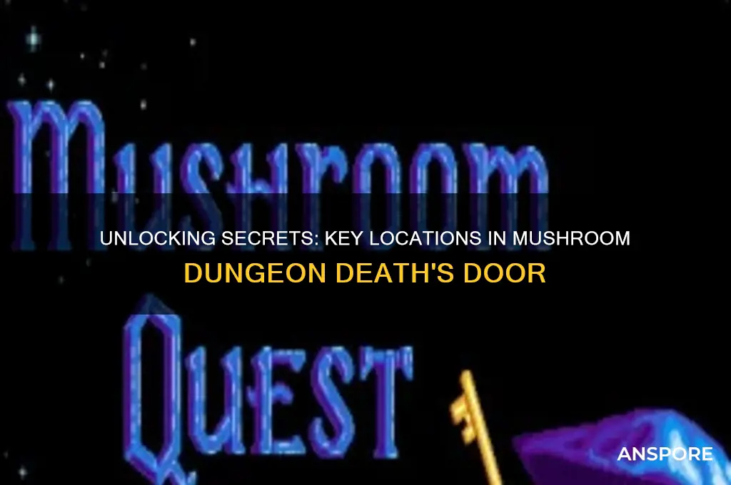 where to use keys in mushroom dungeon death