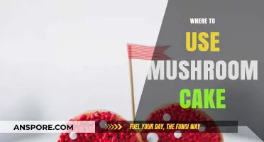 Creative Ways to Use Mushroom Cake in Your Culinary Adventures