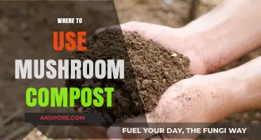 Mushroom Compost Uses: Enhancing Gardens, Lawns, and Soil Health