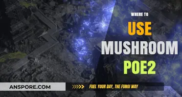 Mushrooms in Path of Exile 2: Creative Uses and Strategies