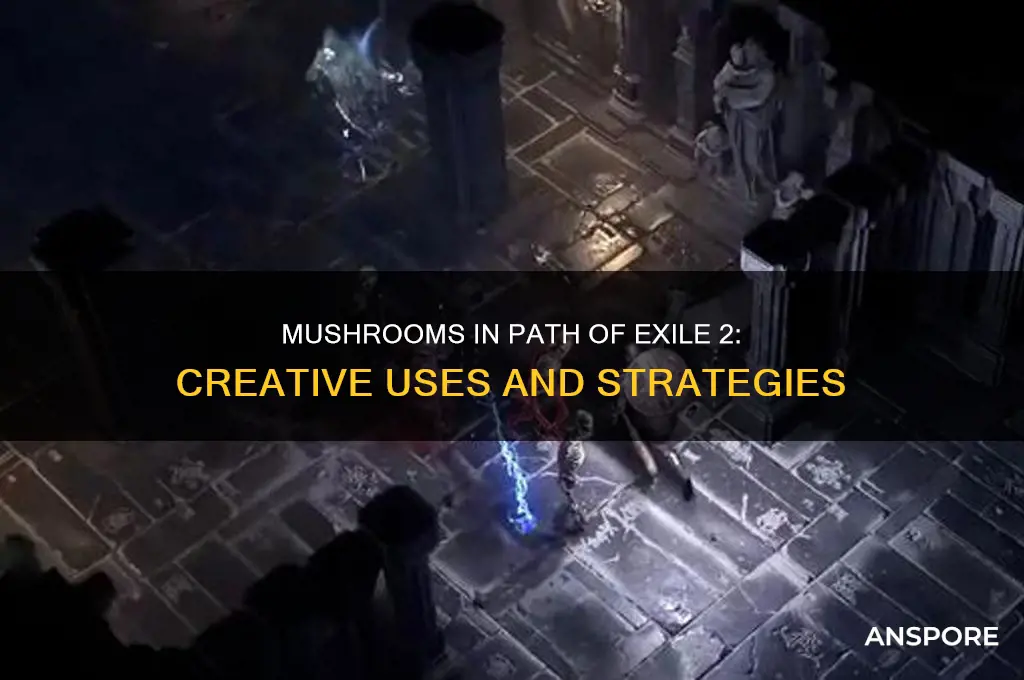 where to use mushrooms poe2