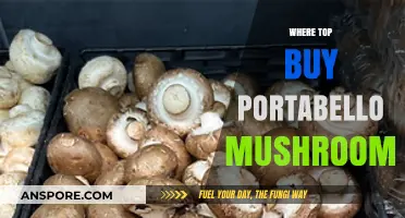 Best Places to Buy Fresh Portobello Mushrooms: A Shopper's Guide