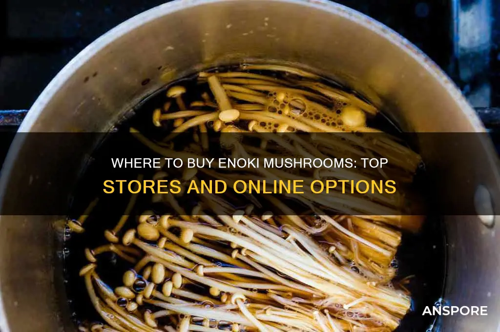 where tpo buy enoki mushroom