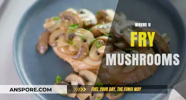 Frying Mushrooms: The Ultimate Location Guide