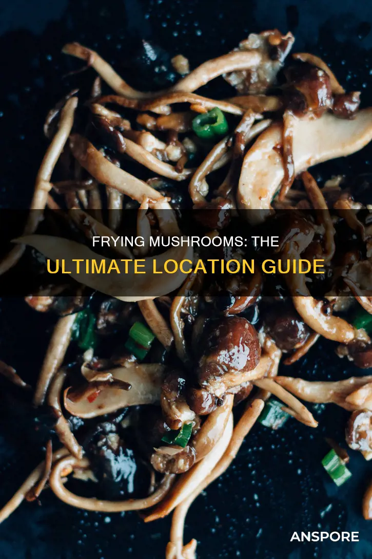 where u fry mushrooms