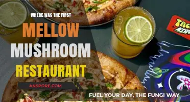 The Birthplace of Mellow Mushroom: A Pizza Legacy Begins