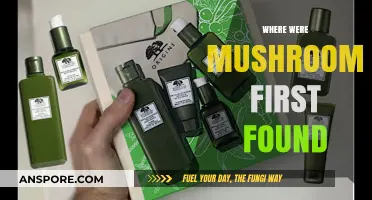 Mushrooms: Where Did They Originate?