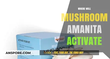 Mushroom Amanita: Activating the Mind, Unlocking the Unknown