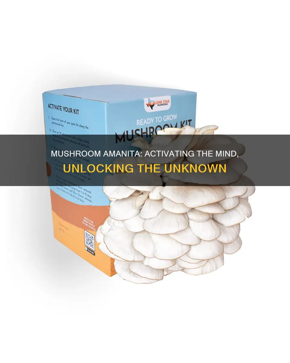 where will mushroom amanita activate