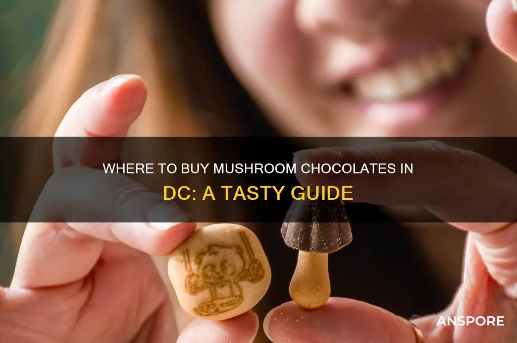 where you buy mushroom chocolates in dc