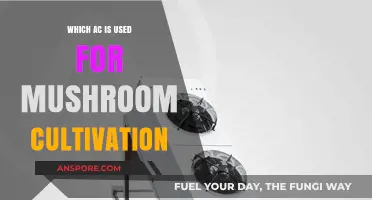 Best Air Conditioning Units for Optimal Mushroom Cultivation Environments