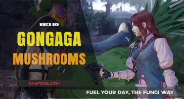 Gongaga Mushrooms: A Comprehensive Guide to Identification