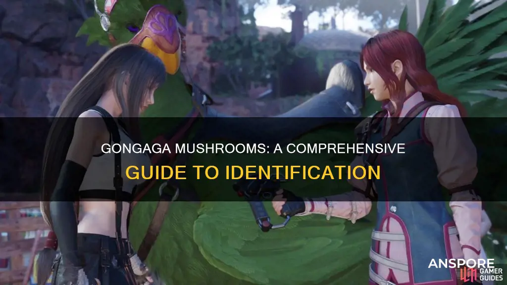 which are gongaga mushrooms