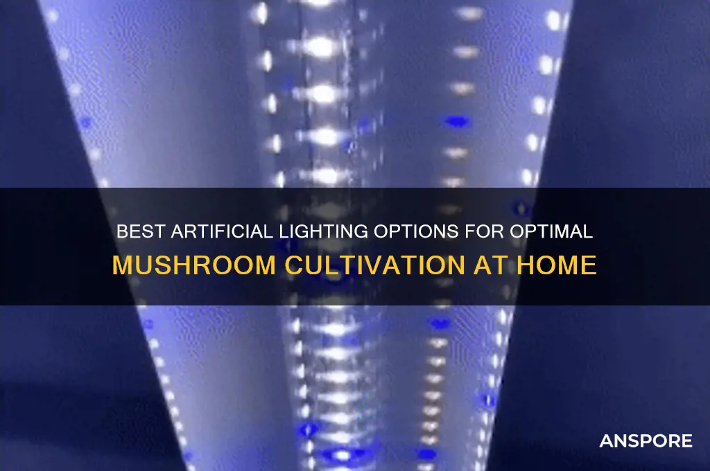 which artificial light is best for growing mushrooms