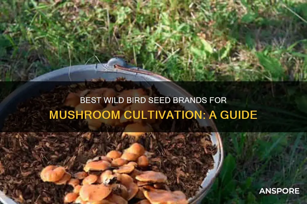 which brand wild bird seed is good for mushrooms