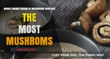 Cream of Mushroom Soup Showdown: Which Brand Packs the Most Fungi?