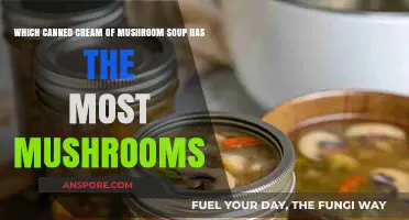 Mushroom Soup Showdown: Which Canned Cream of Mushroom Packs the Most Flavor?