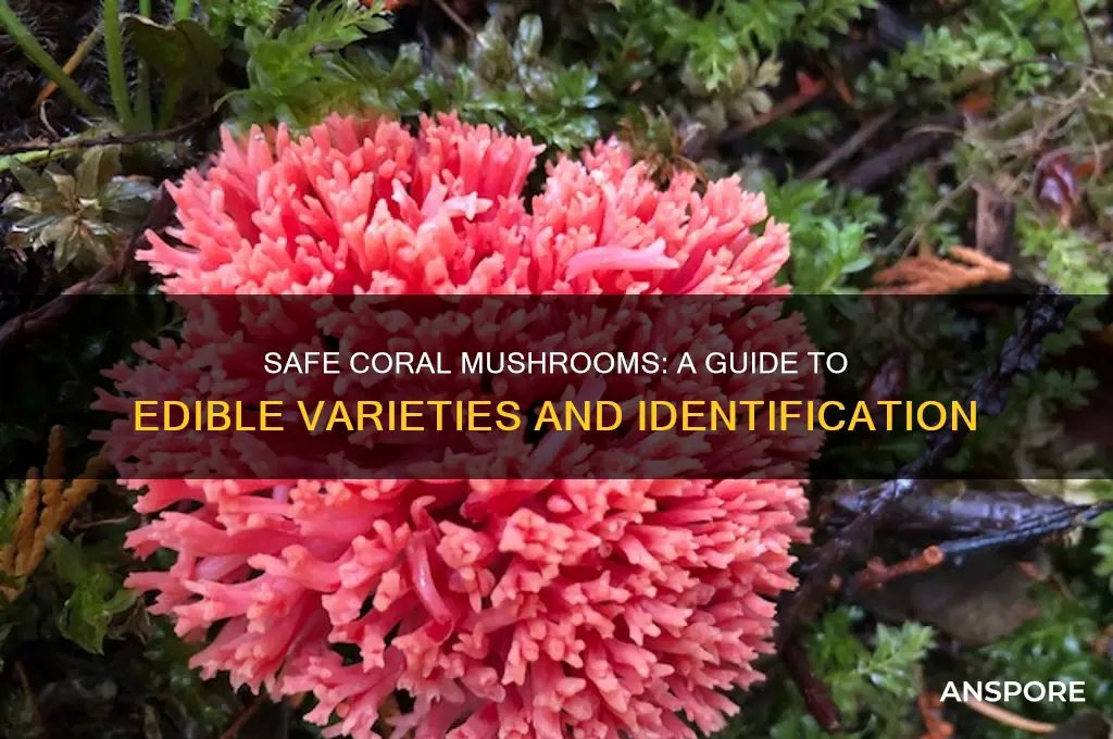 which coral mushrooms are safe to eat