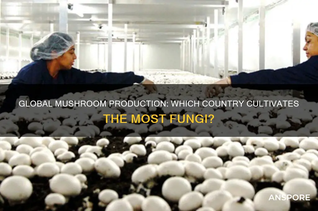 which country grows the most mushrooms