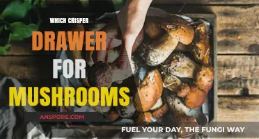 Mushroom Storage: Crisper Drawer Know-How